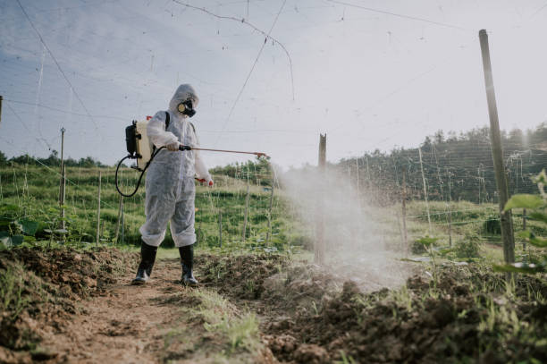 Best Commercial Pest Control Services  in Leadville, CO