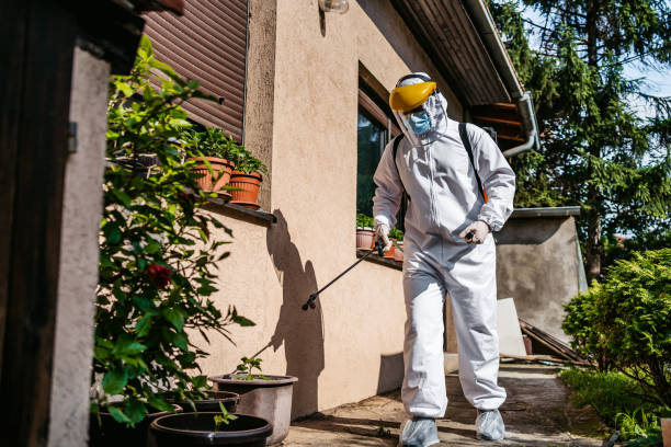 Best Pest Inspection Near Me  in Leadville, CO