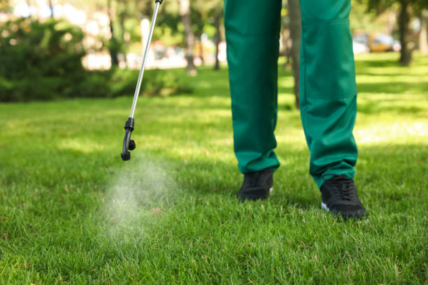 Best Pest Removal Services  in Leadville, CO