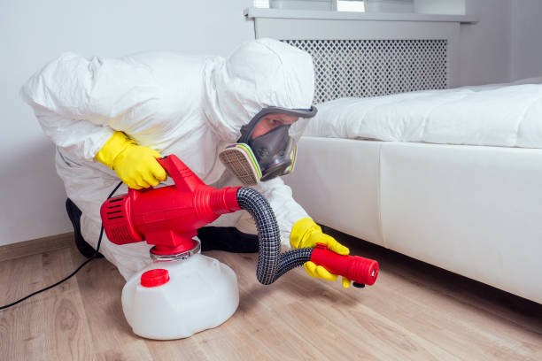 Best Pest Control Near Me  in Leadville, CO
