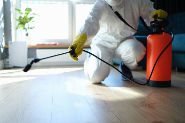 Flea Control Services in Leadville, CO