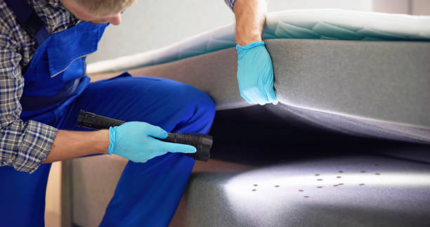 Pest Prevention Services in Leadville, CO