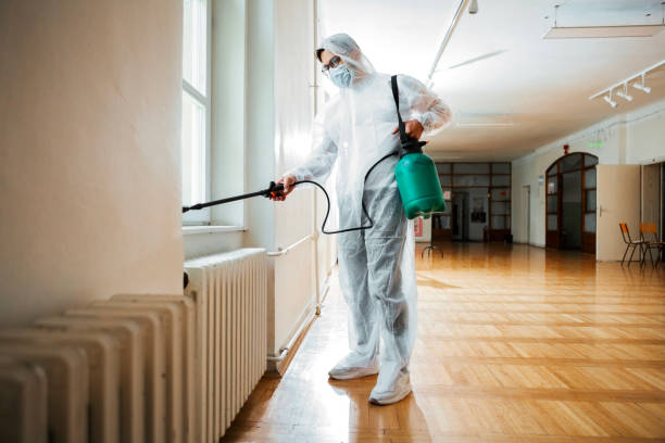 Best Local Pest Control Services  in Leadville, CO