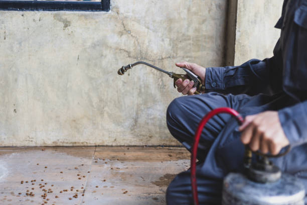 Best Mosquito Control Services  in Leadville, CO